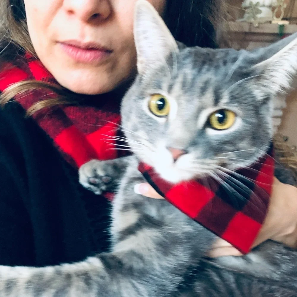 🟥⬛️CLASSIC BUFFALO PLAID CAT BANDANA🟥⬛️